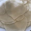 じんこ。's cooksnap of when they made 手作りしちゃおう♪　シュウマイの皮.