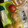 クックIYS0L4☆'s cooksnap of when they made 新玉ねぎとトマトのとろとろ満腹スープ.