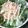 のび♡'s cooksnap of when they made ピンクのポテサラ.