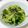 chacco38's cooksnap of when they made 小松菜と水菜のごま油炒め.