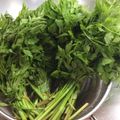 pikusuzu2's cooksnap of when they made セリのおひたし☆セリの茹で方・冷凍保存法.