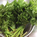 pikusuzu2's cooksnap of when they made セリのおひたし☆セリの茹で方・冷凍保存法.