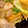 bpt0217's cooksnap of when they made 厚揚げとベーコンのバター炒め.