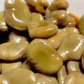 ぶにゃち's cooksnap of when they made そら豆の煮物.