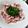 hozunyam's cooksnap of when they made ニラダレ 豚バラ しゃぶ.
