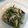 y0sh1y's cooksnap of when they made 水菜の中華風煮浸し【作りおき】.