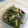 y0sh1y's cooksnap of when they made 水菜の中華風煮浸し【作りおき】.
