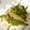クックDKLIJE☆'s cooksnap of when they made 空芯菜とエリンギの炒め物.
