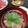 クックNVJDVI☆'s cooksnap of when they made だしを味わう豆腐のすまし汁.