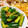 mami_g103's cooksnap of when they made きゅうりのたたき。ごま油風味.