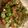 inLondon's cooksnap of when they made パクチーとネギとかつお節削り入り納豆！.