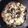 tetomomo's cooksnap of when they made 丼弁当●豚肉の他人丼／豚玉子丼.
