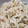 ゆーちゃん1015's cooksnap of when they made 大根ときゅうりのサラダ.