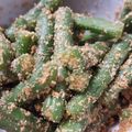ゆーちゃん1015's cooksnap of when they made いんげんの胡麻和え.