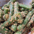 ゆーちゃん1015's cooksnap of when they made いんげんの胡麻和え.