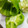 ブりゃん's cooksnap of when they made ピーマンの種とり.