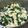 れいきまま's cooksnap of when they made 小松菜と卵のスープ.