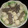 みーたんらぶらぶ's cooksnap of when they made 白だしで簡単に。里芋とこんにゃくの煮物.