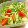 まほぷりん's cooksnap of when they made 【簡単】水菜とモッツアレラチーズのサラダ.