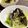 ☆あいちゃん's cooksnap of when they made 豆苗ともやしの海苔サラダ♪.
