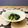 メビナ's cooksnap of when they made ヒラタケ、ネギ、ほうれん草の炒めもの.