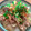 ☆３匹の子ぶた☆'s cooksnap of when they made 豚肉と玉ねぎの和風甘辛丼~生姜風味~.