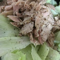 ma___111's cooksnap of when they made 簡単すぎ⁈レタスとツナのサラダ.