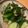 クックM2ER6B☆'s cooksnap of when they made 1分でできる塩ダレきゅうり.