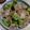 クック7M7OTG☆'s cooksnap of when they made ブロッコリーと豚肉のオイマヨ炒め.