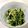 クックNHE88M☆'s cooksnap of when they made かんたん野菜料理　豆苗の塩昆布あえ.