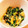 bunbun＊'s cooksnap of when they made ヘルシー☆砂糖不要！ほうれん草の卵とじ.