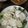 ぷくりる's cooksnap of when they made 簡単すぎるタレで手軽に！よだれ鶏.