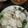 ぷくりる's cooksnap of when they made 簡単すぎるタレで手軽に！よだれ鶏.