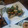 クックHST1BC☆'s cooksnap of when they made 真鯛とあさり使用☆和風アクアパッツァ！.