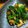EK♡YUKI's cooksnap of when they made ☆ほうれん草の3色彩りごま和え.