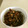 エイビーズ's cooksnap of when they made ひじきと大豆の煮物.