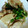 のえもゆ's cooksnap of when they made たけのこと豚ロースの生姜焼き.