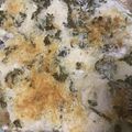 pomponn's cooksnap of when they made 鶏胸肉のマヨパン粉焼き.