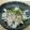 ちびぷりん's cooksnap of when they made 大根サラダ.