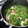 ★☆あかね★☆'s cooksnap of when they made イカとほうれん草のバター醤油いため.
