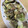 クックRVCCVL☆'s cooksnap of when they made 我が家の✤塩焼きそば.