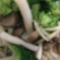 ma___111's cooksnap of when they made ステップ3つで本格的！キノコのアヒージョ.