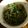 eoo3's cooksnap of when they made 春の香り満喫！セリのサラダ.