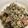terry1014's cooksnap of when they made 家事ヤロウ『海苔とベーコンの炊込みご飯』.