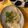 iluvnyizmtnk's cooksnap of when they made 白菜のネギ塩うま煮♪.