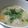 ちばたま's cooksnap of when they made 胡麻みそ風味☆肉団子ｽｰﾌﾟ風みそ汁.