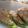 ちばたま's cooksnap of when they made 簡単ピーマンの肉詰め.
