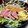 りえっくす♡'s cooksnap of when they made 簡単 玉ねぎひとつで絶品 ローストビーフ.