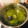 tomyamyyum's cooksnap of when they made 簡単！＊旬のわらびのアク抜きの方法.