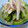 satoママン's cooksnap of when they made 干物を使わない冷や汁 関東風.